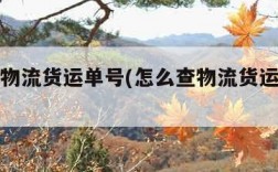 怎么查物流货运单号(怎么查物流货运单号信息)