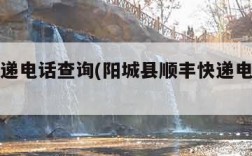 顺风快递电话查询(阳城县顺丰快递电话查询)
