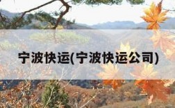 宁波快运(宁波快运公司)