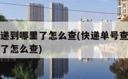 查询快递到哪里了怎么查(快递单号查询快递到哪里了怎么查)