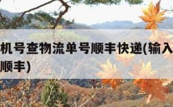 输入手机号查物流单号顺丰快递(输入手机号码查询顺丰)