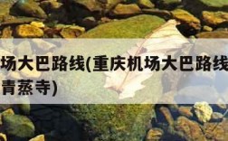 重庆机场大巴路线(重庆机场大巴路线时刻表及票价青蒸寺)