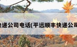 顺风快递公司电话(平远顺丰快递公司电话)