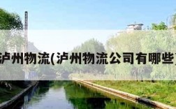 泸州物流(泸州物流公司有哪些)