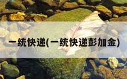 一统快递(一统快递彭加金)