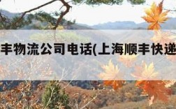 上海顺丰物流公司电话(上海顺丰快递电话多少)