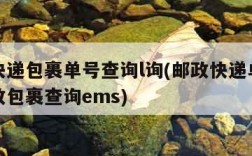 邮政快递包裹单号查询l询(邮政快递单号查询邮政包裹查询ems)