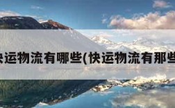 快运物流有哪些(快运物流有那些)