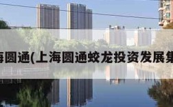 上海圆通(上海圆通蛟龙投资发展集团)