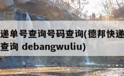 德邦快递单号查询号码查询(德邦快递单号查询号码查询 debangwuliu)