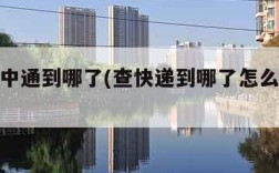 查快递中通到哪了(查快递到哪了怎么查中通快递)