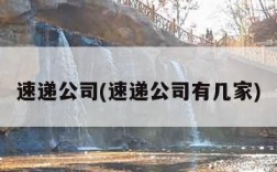 速递公司(速递公司有几家)