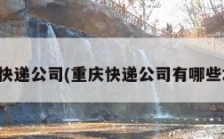 重庆快递公司(重庆快递公司有哪些地方)