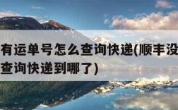 顺丰没有运单号怎么查询快递(顺丰没有运单号怎么查询快递到哪了)