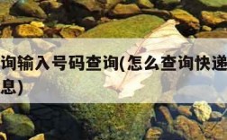 物流查询输入号码查询(怎么查询快递单号的物流信息)