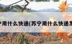 苏宁用什么快递(苏宁用什么快递发货)