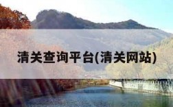 清关查询平台(清关网站)