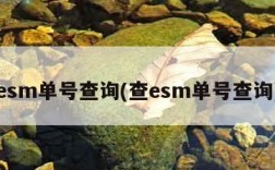 esm单号查询(查esm单号查询)