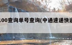 快递100查询单号查询(中通速递快递单号查询)