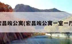 宏昌竣公寓(宏昌竣公寓一室一厅)