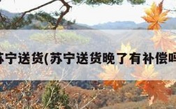苏宁送货(苏宁送货晚了有补偿吗)