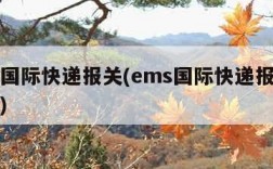 ems国际快递报关(ems国际快递报关要多久)