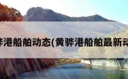 黄骅港船舶动态(黄骅港船舶最新动态)