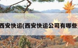 西安快运(西安快运公司有哪些)