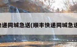 顺丰快递同城急送(顺丰快递同城急送价格)
