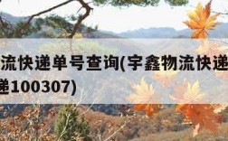 宇鑫物流快递单号查询(宇鑫物流快递单号查询_快递100307)