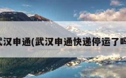 武汉申通(武汉申通快递停运了吗)