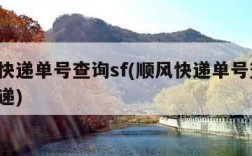 顺风快递单号查询sf(顺风快递单号查询 查快递)